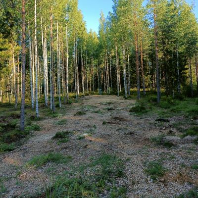 Väylä 6.