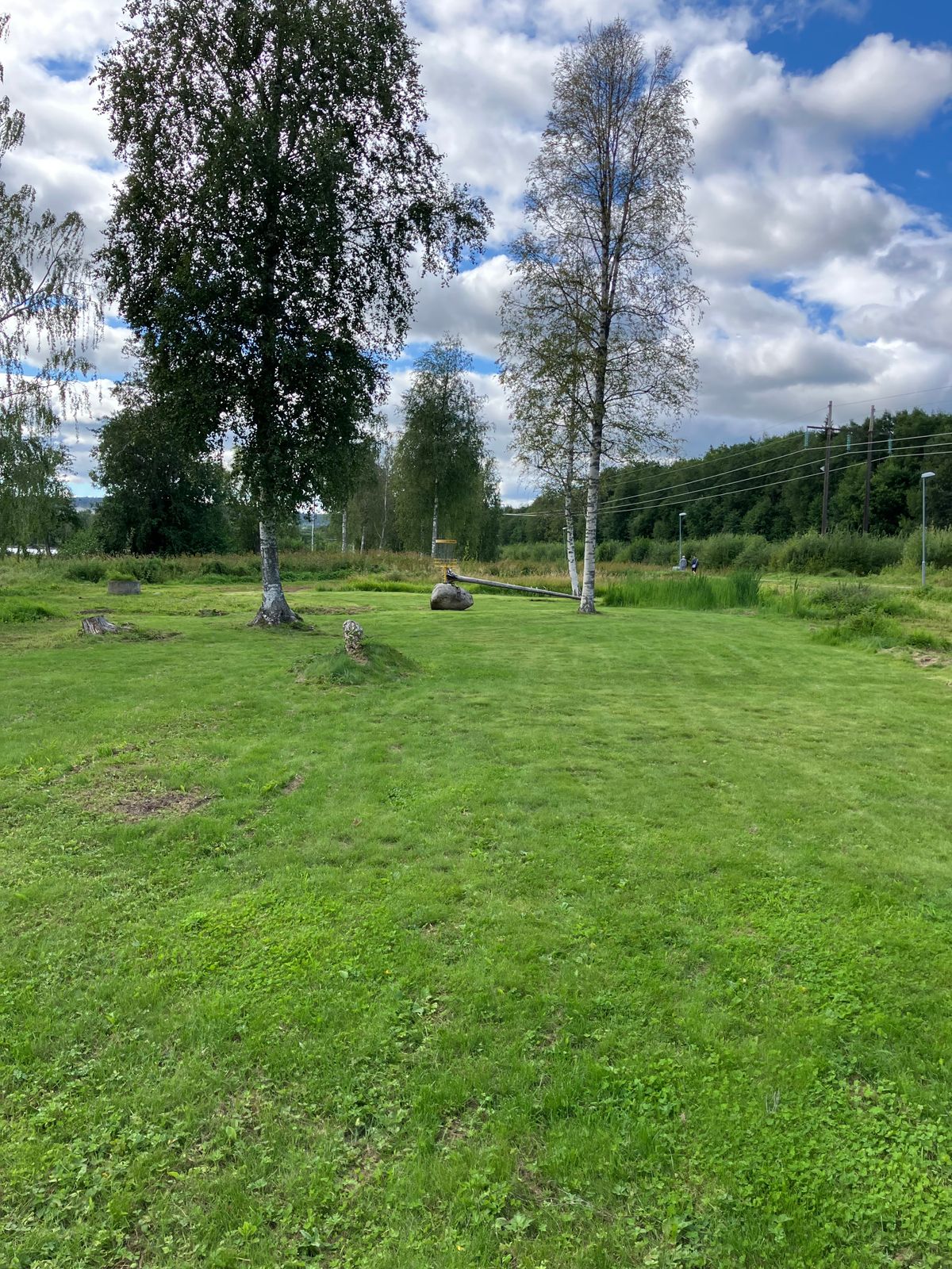 Hål 12, Green