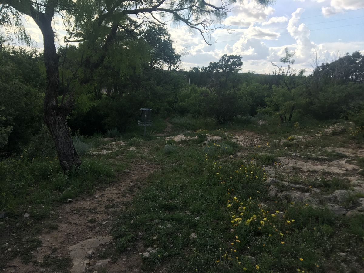 Hole 8 CTP Parkside pin