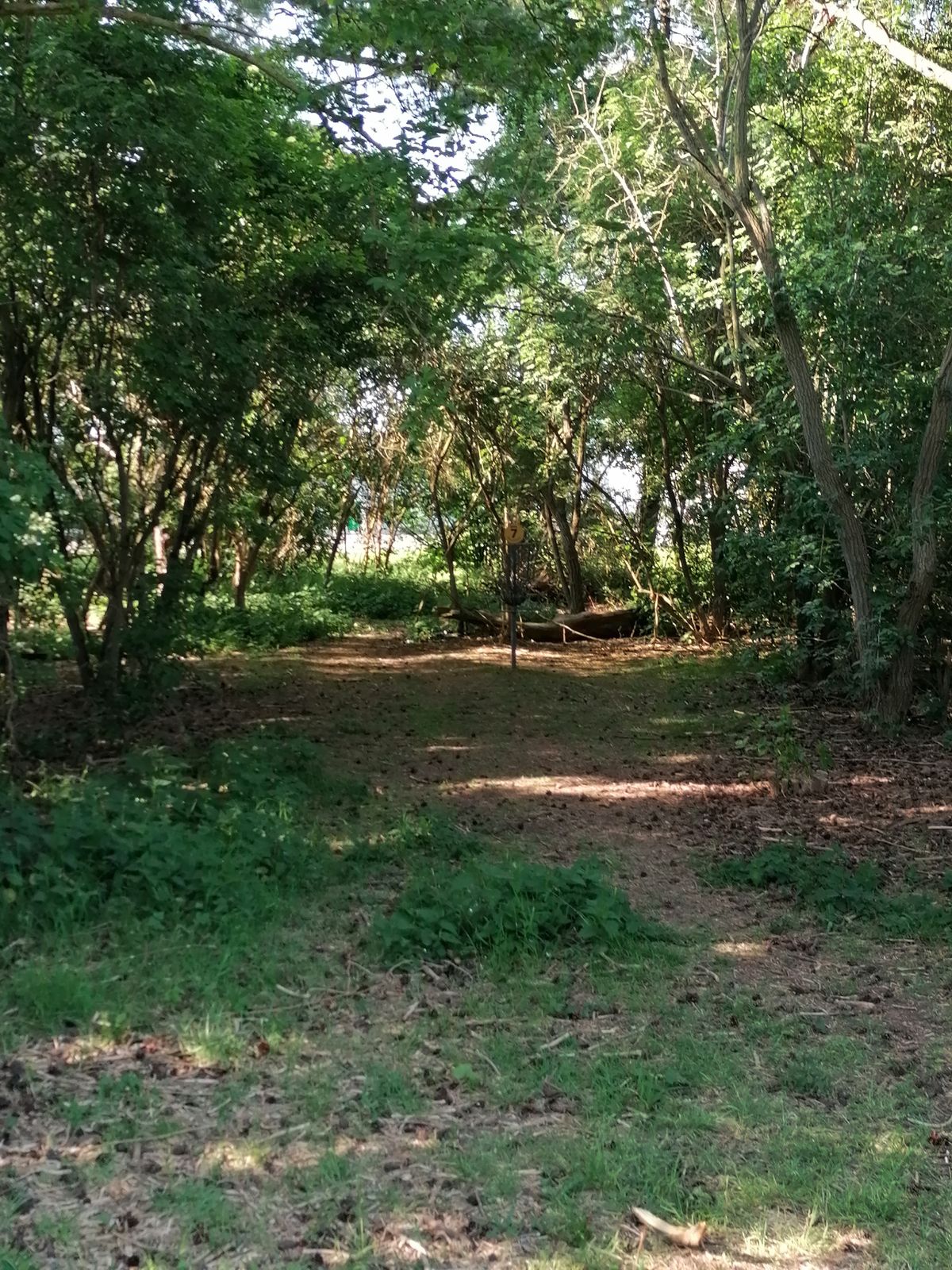 7:an green