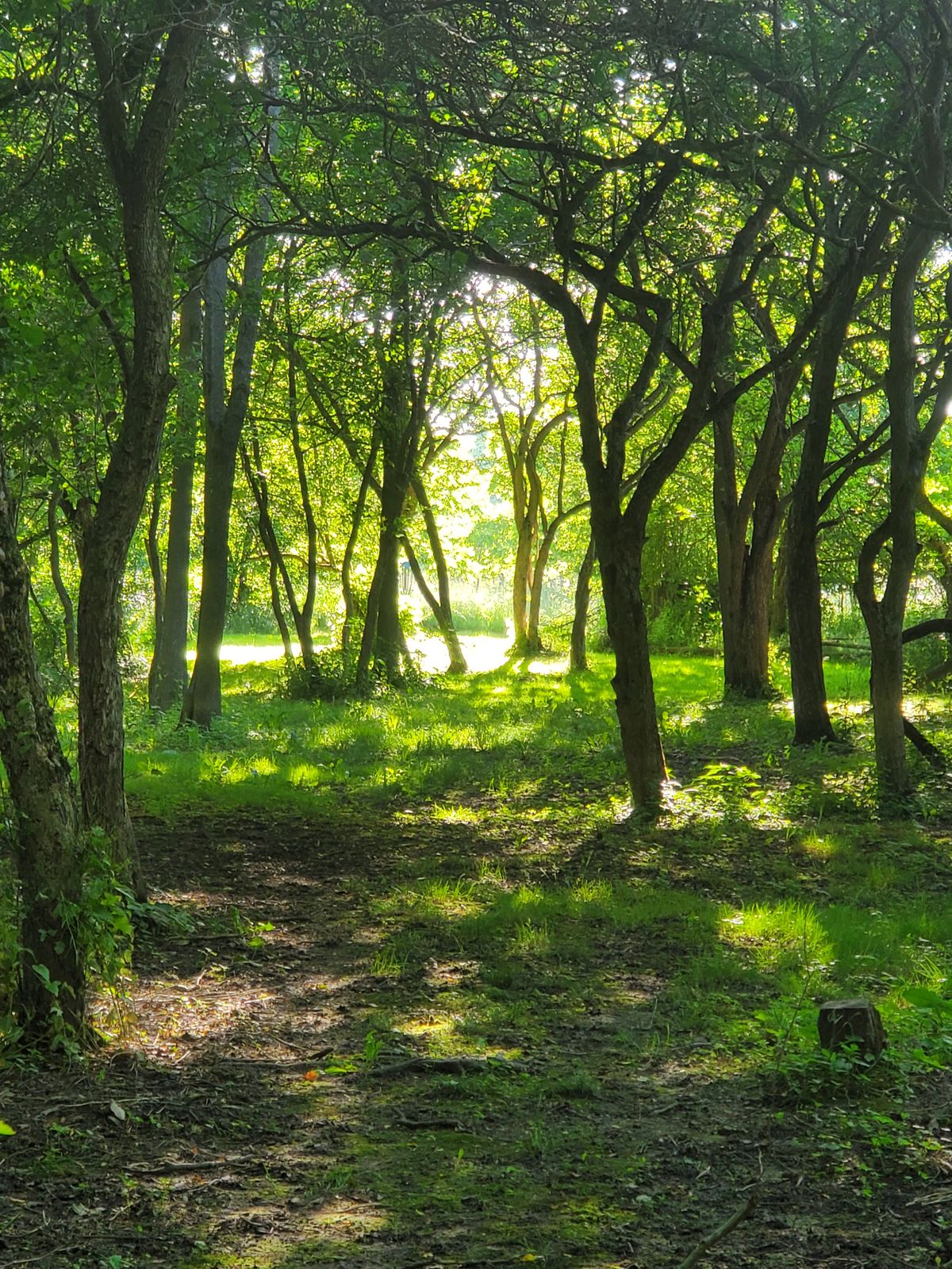 Hole 16
