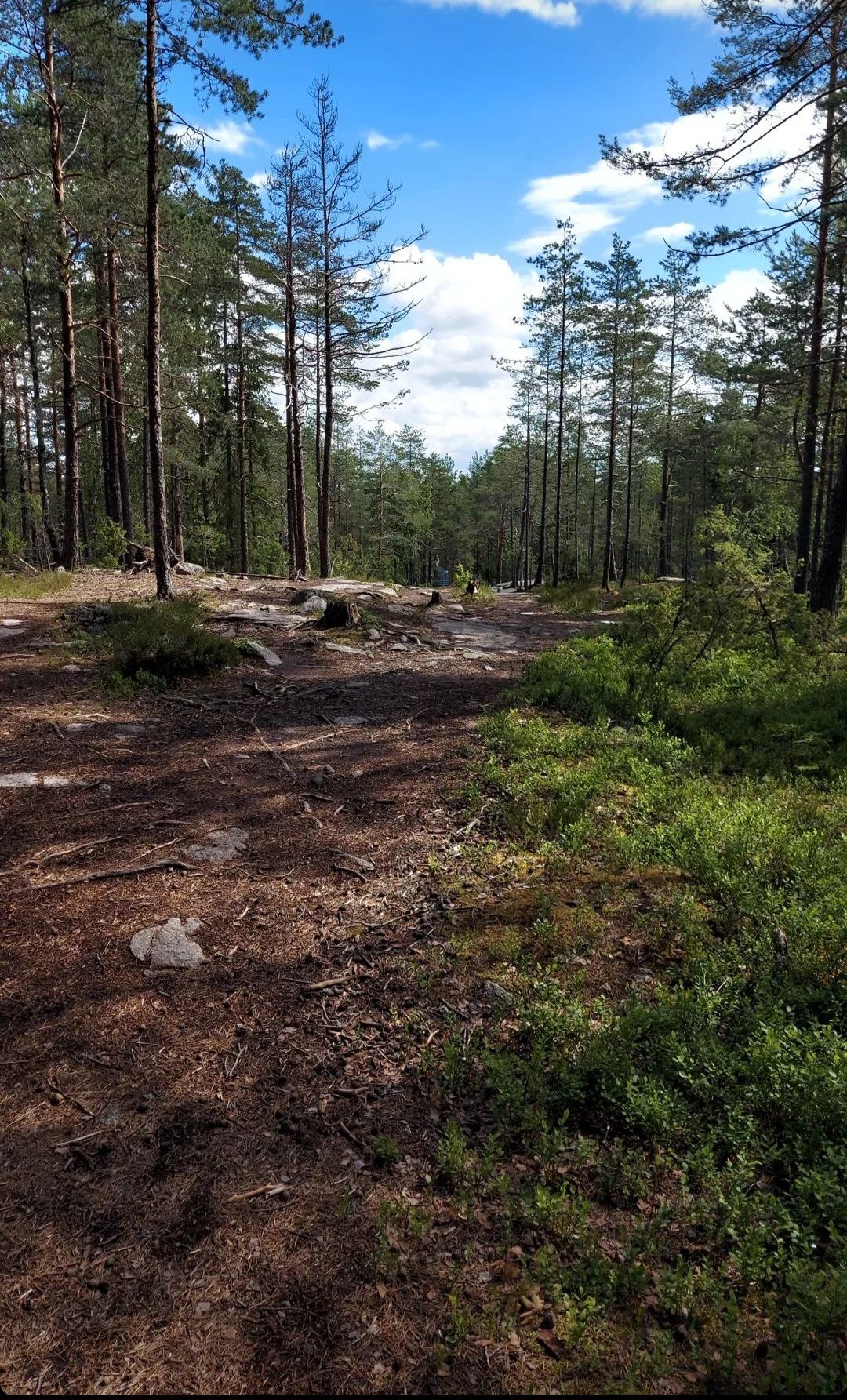 Väylä 12 (kuva otettu kesäkuussa 2024)