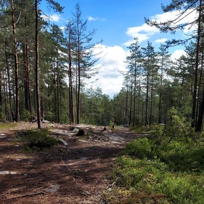 Väylä 12 (kuva otettu kesäkuussa 2024)