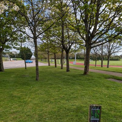 Hole 7