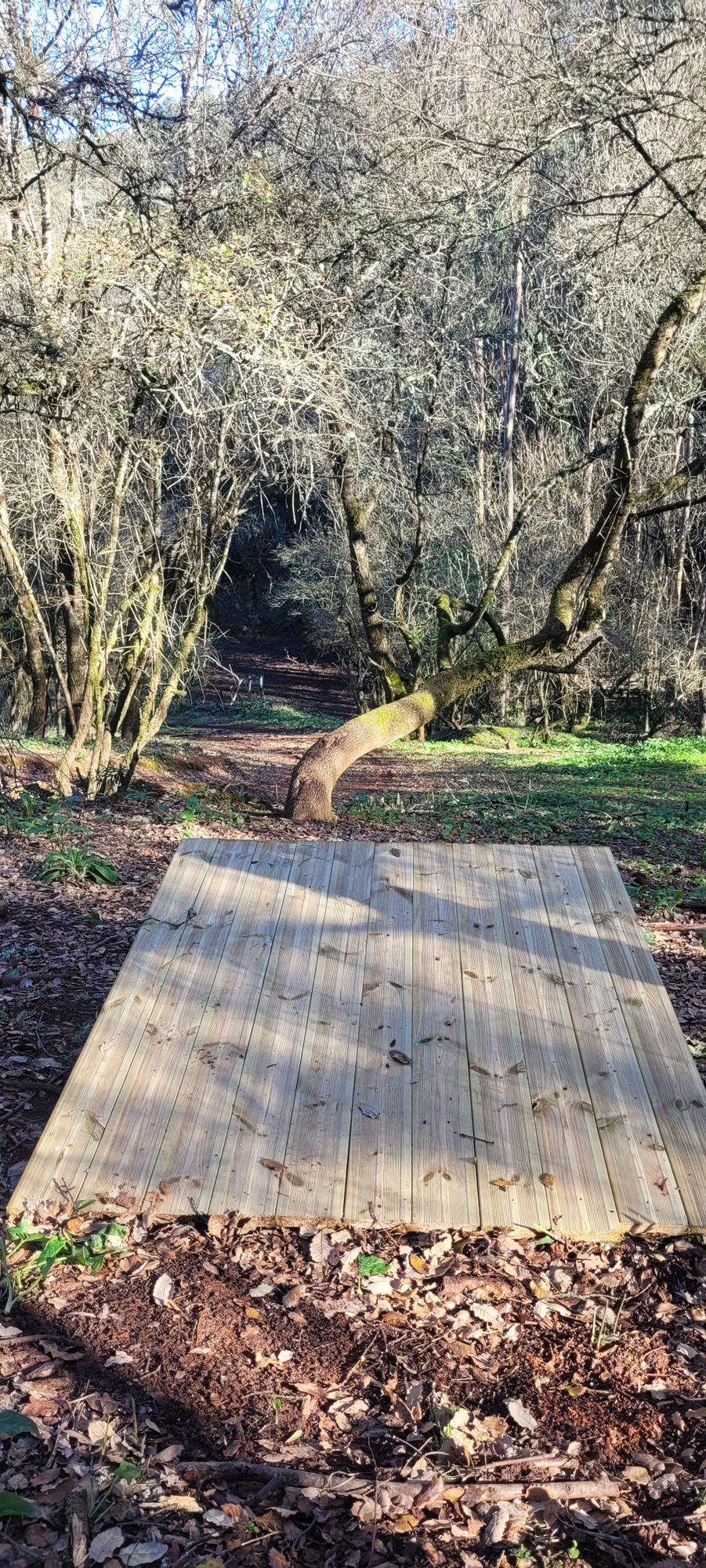 Hole 1 Blue TEE