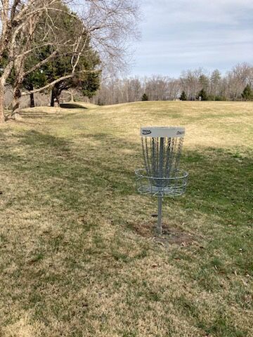 Hole 4 basket