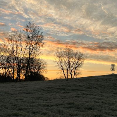 Hole 8 basket with sunrise