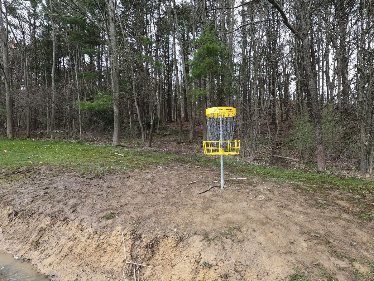 Hole #14 Basket