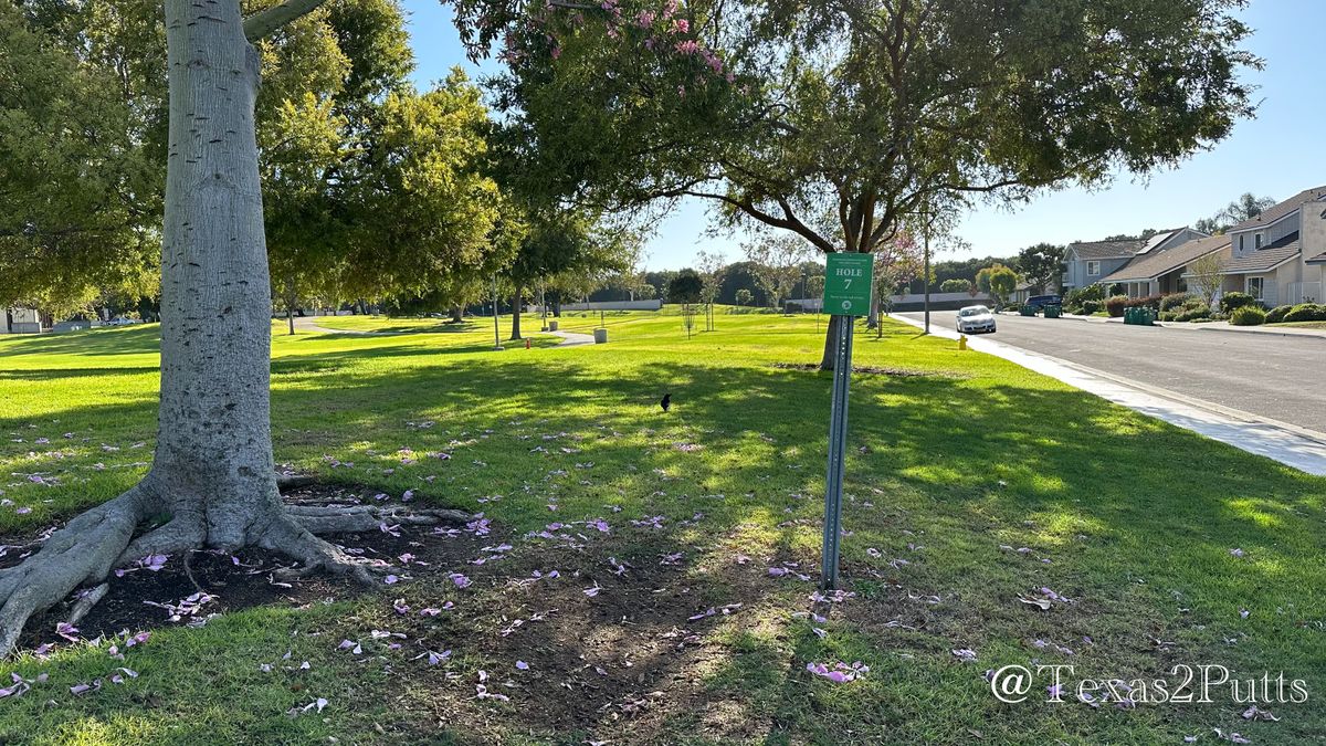 Hole 7