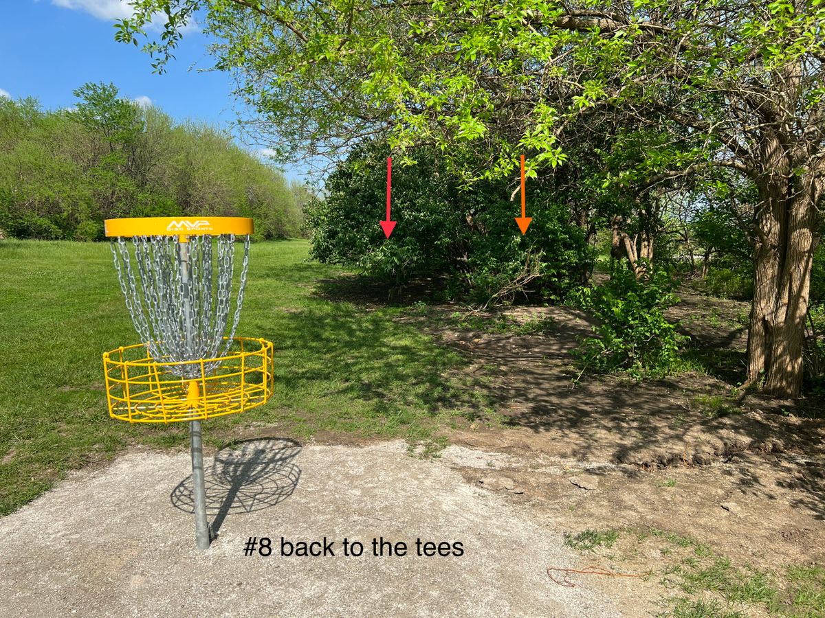 #8 - basket to tees