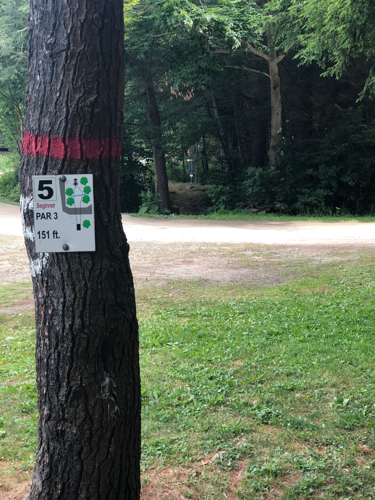#5R (Prior to throwing, watch for pedestrians and vehicles)