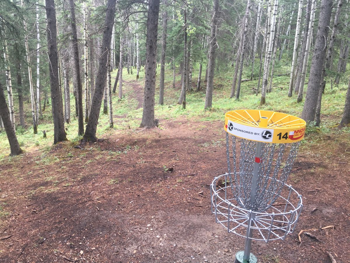 Reverse back up the fairway hole 14.🇨🇦🪵👍🇨🇦