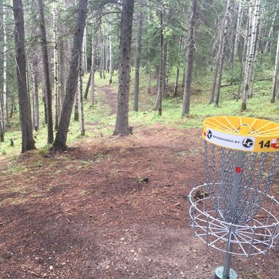 Reverse back up the fairway hole 14.🇨🇦🪵👍🇨🇦