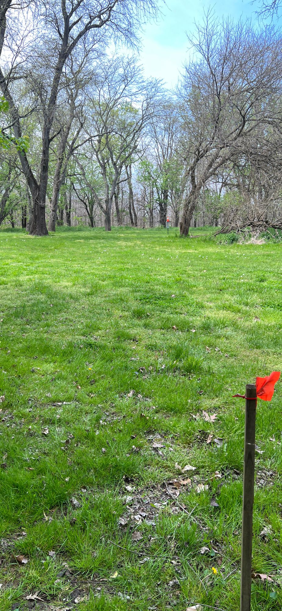 Hole 7
