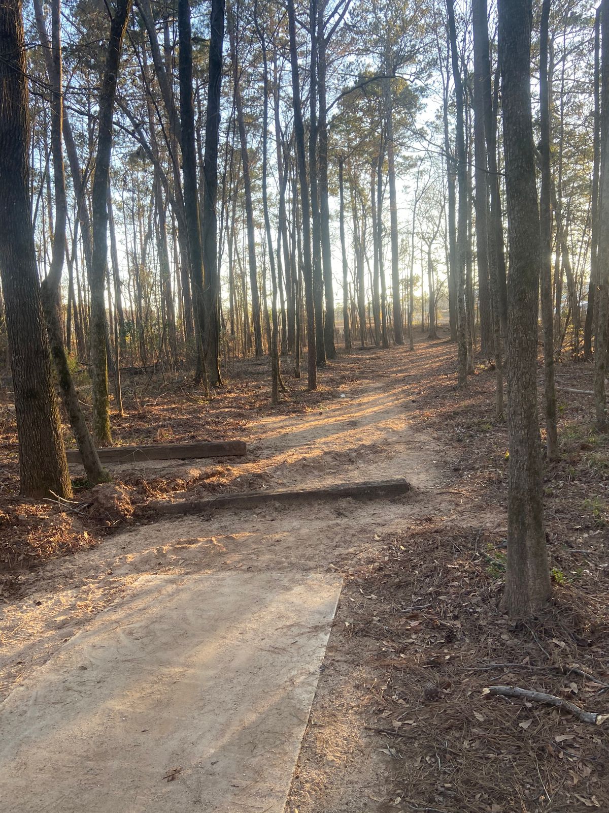 Hole 5 - fairway
