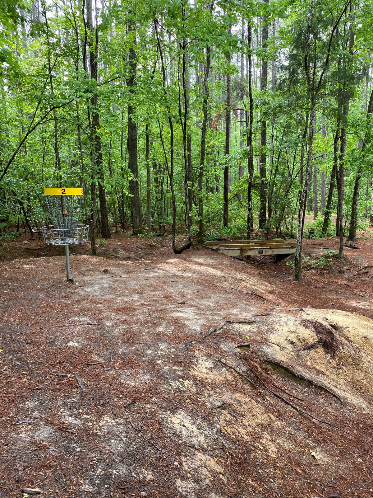 Hole 2 green