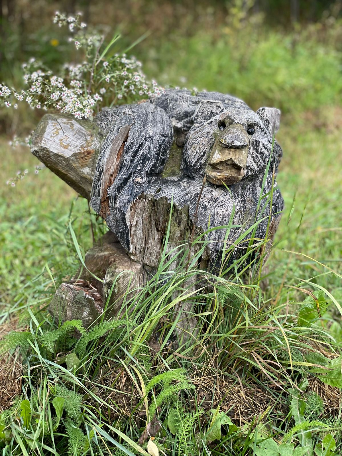 The Bear