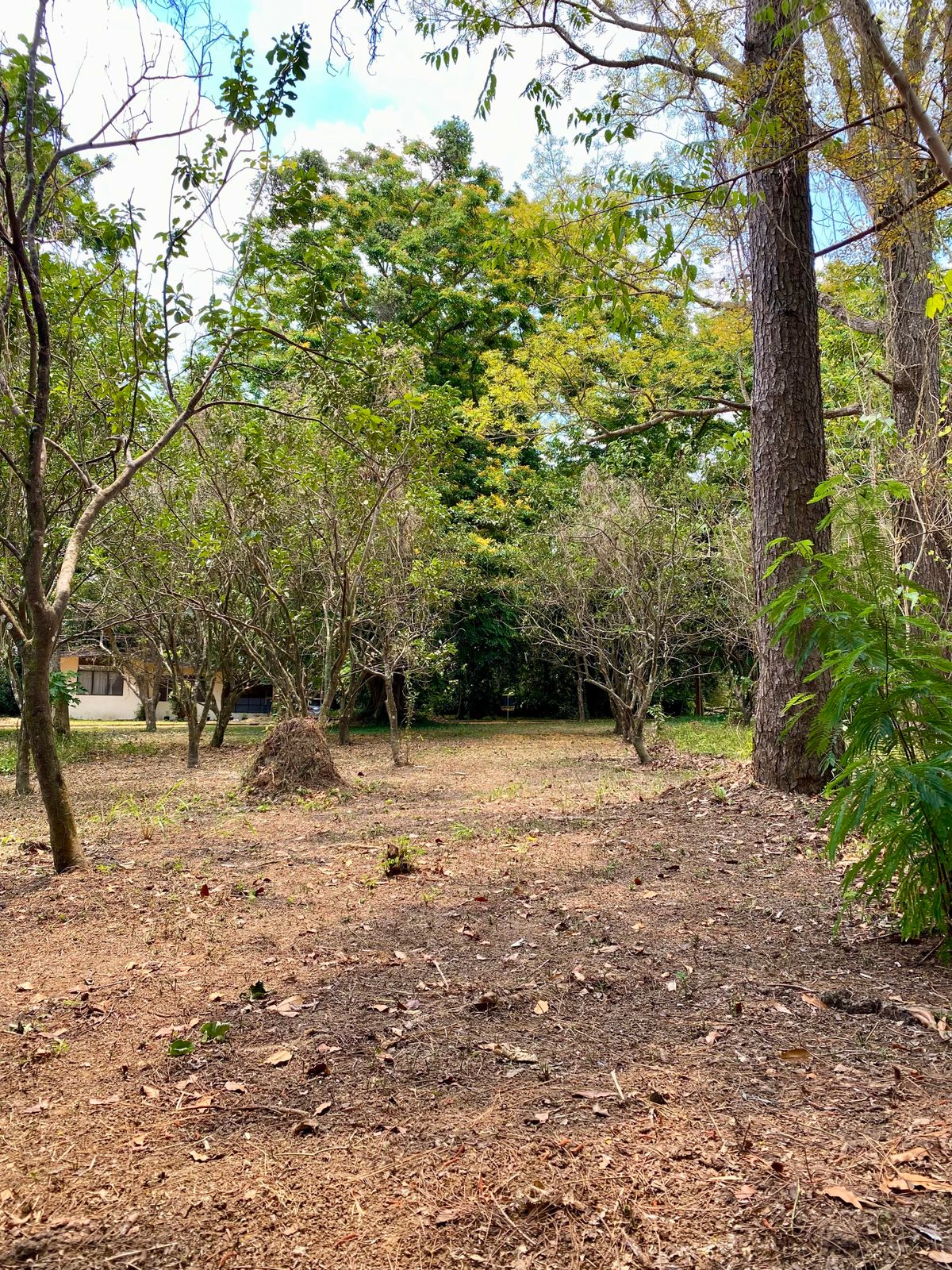 Hole 7