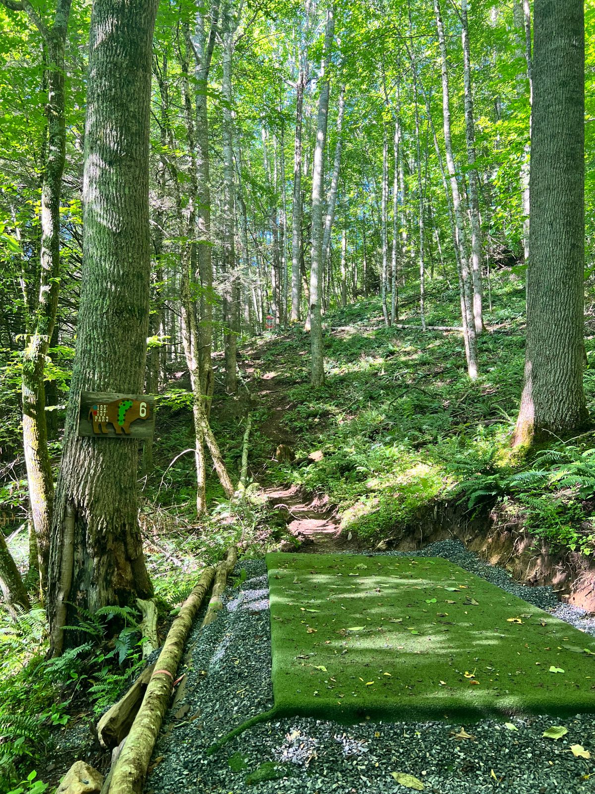 hole 6, short tee