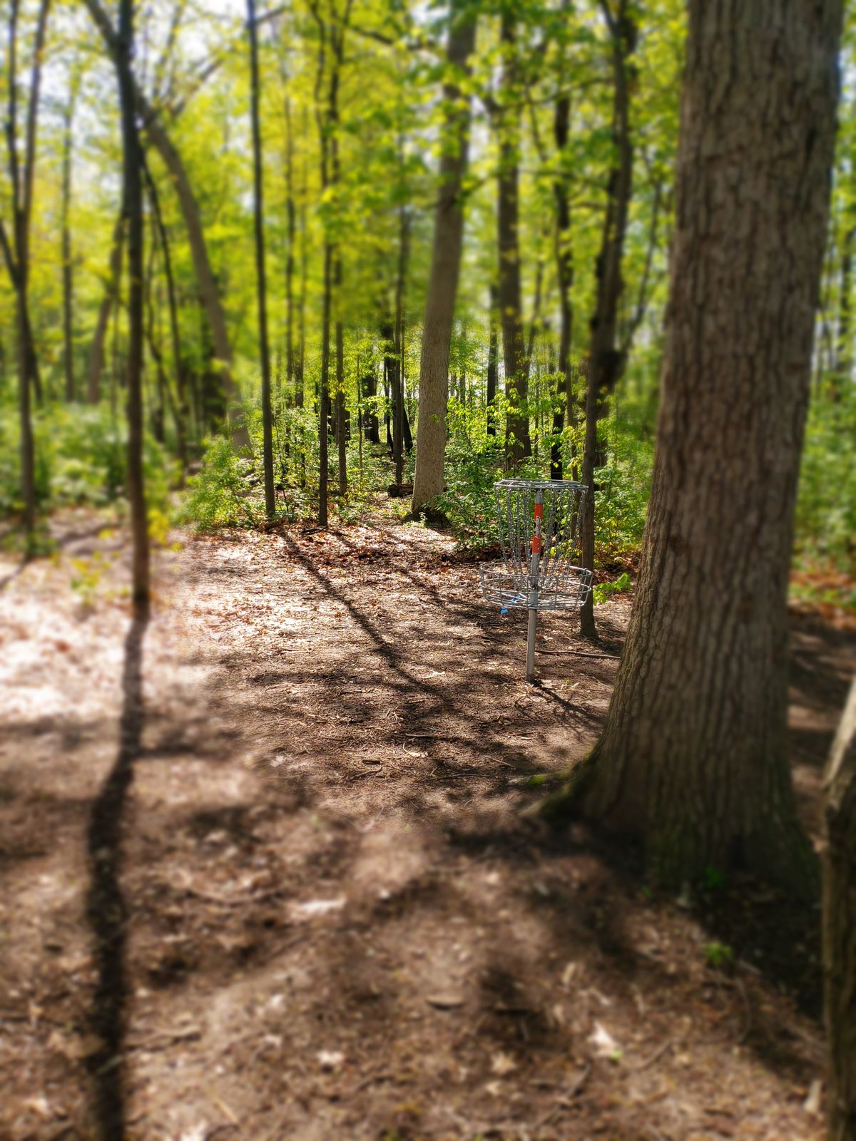 Hole 2