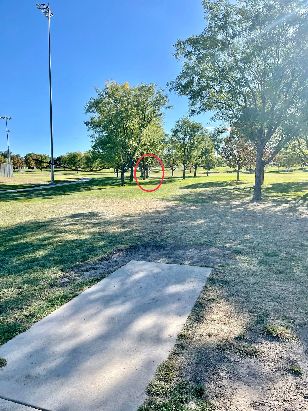 Hole 4 Long Left Basket