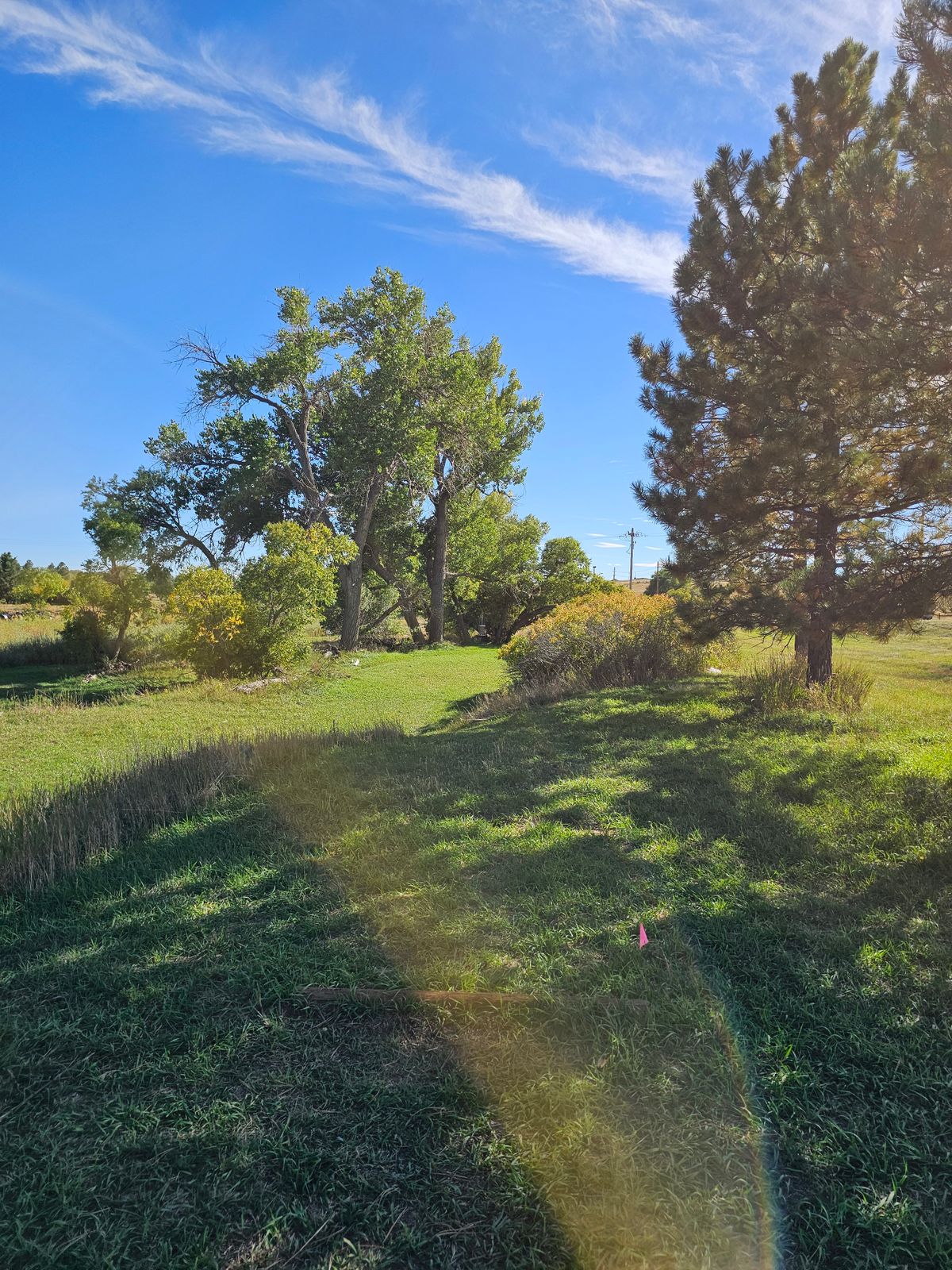 Hole 15