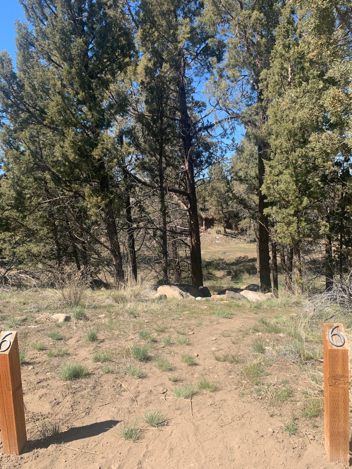 Tee 6