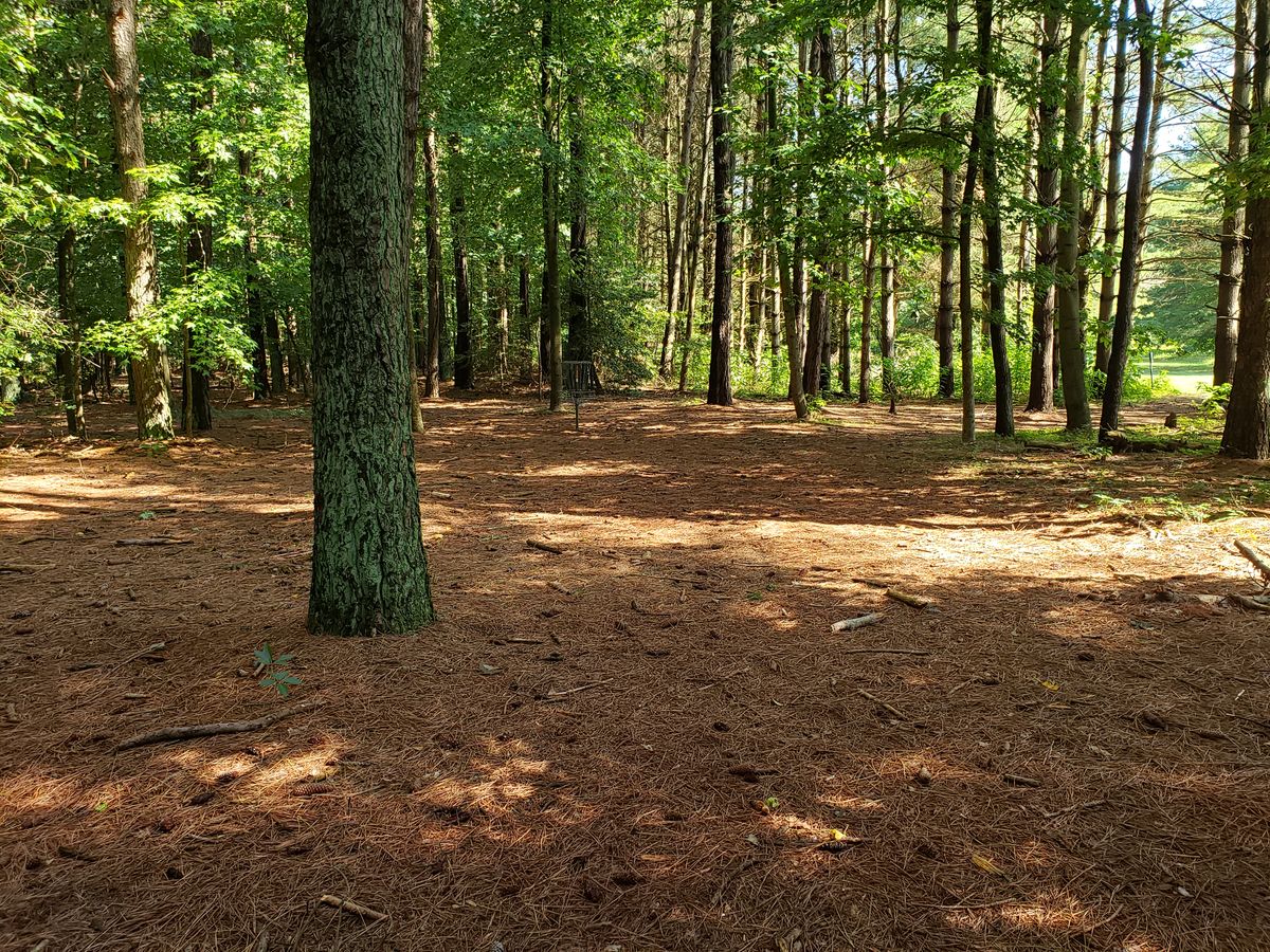 Hole 16 Basket