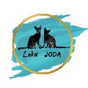 jozi18