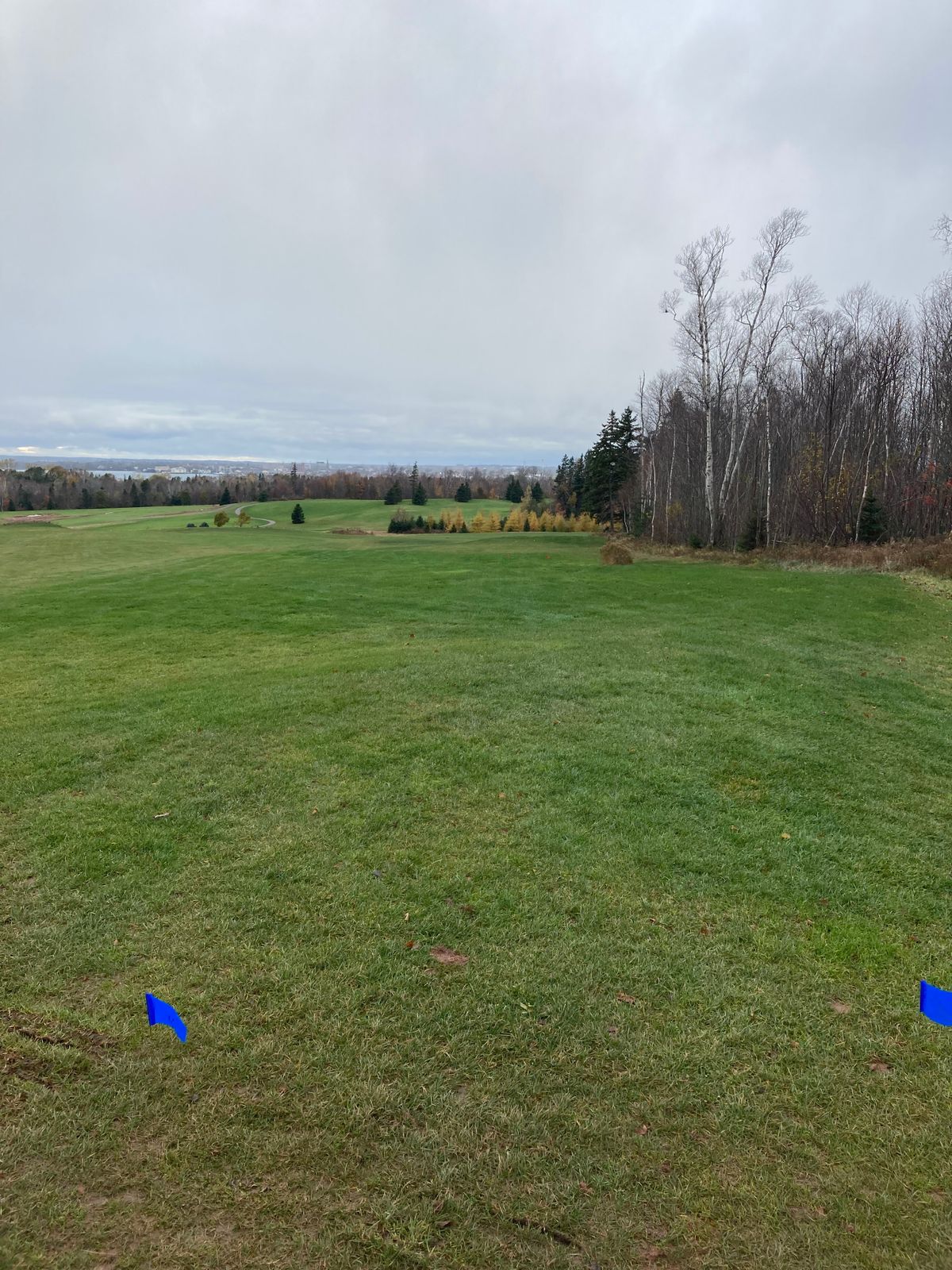Hole 10 Blue Tee.  Basket out of sight, slight dogleg right.