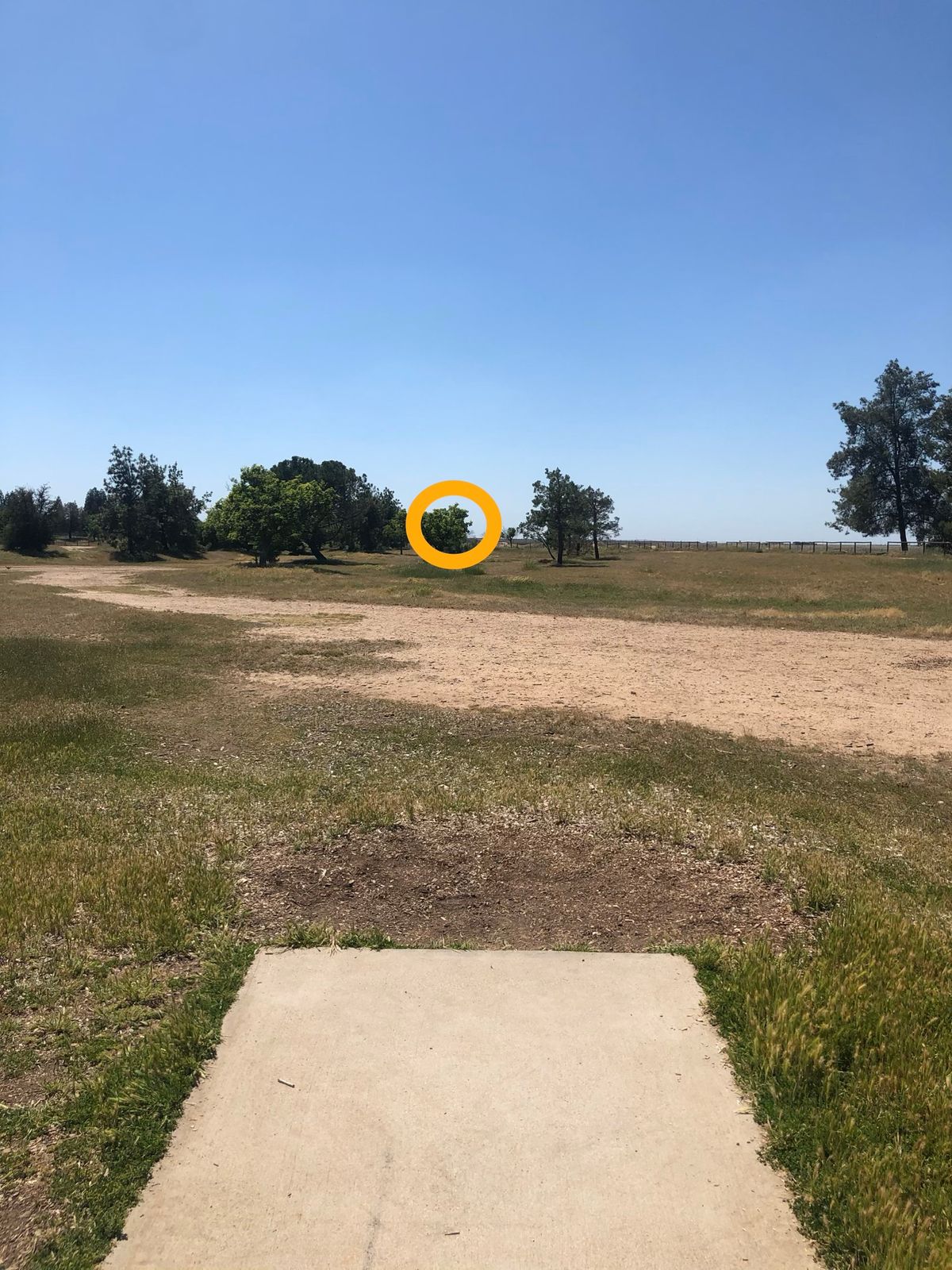 Hole 8 C position Tee to basket