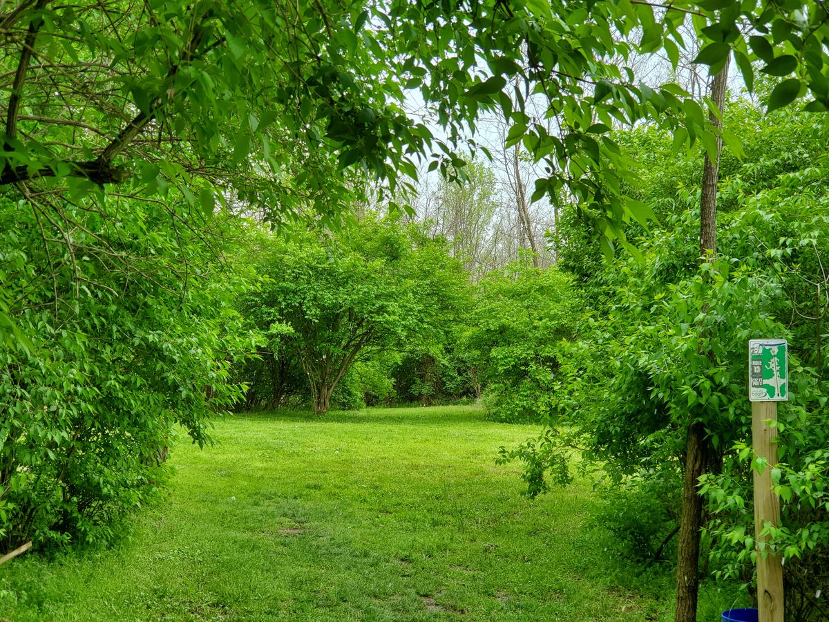 hole 13