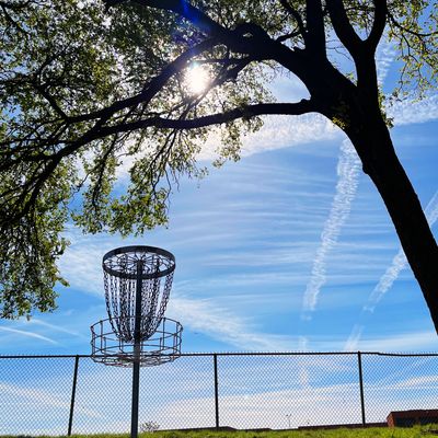 Basket of hole 6 and 15