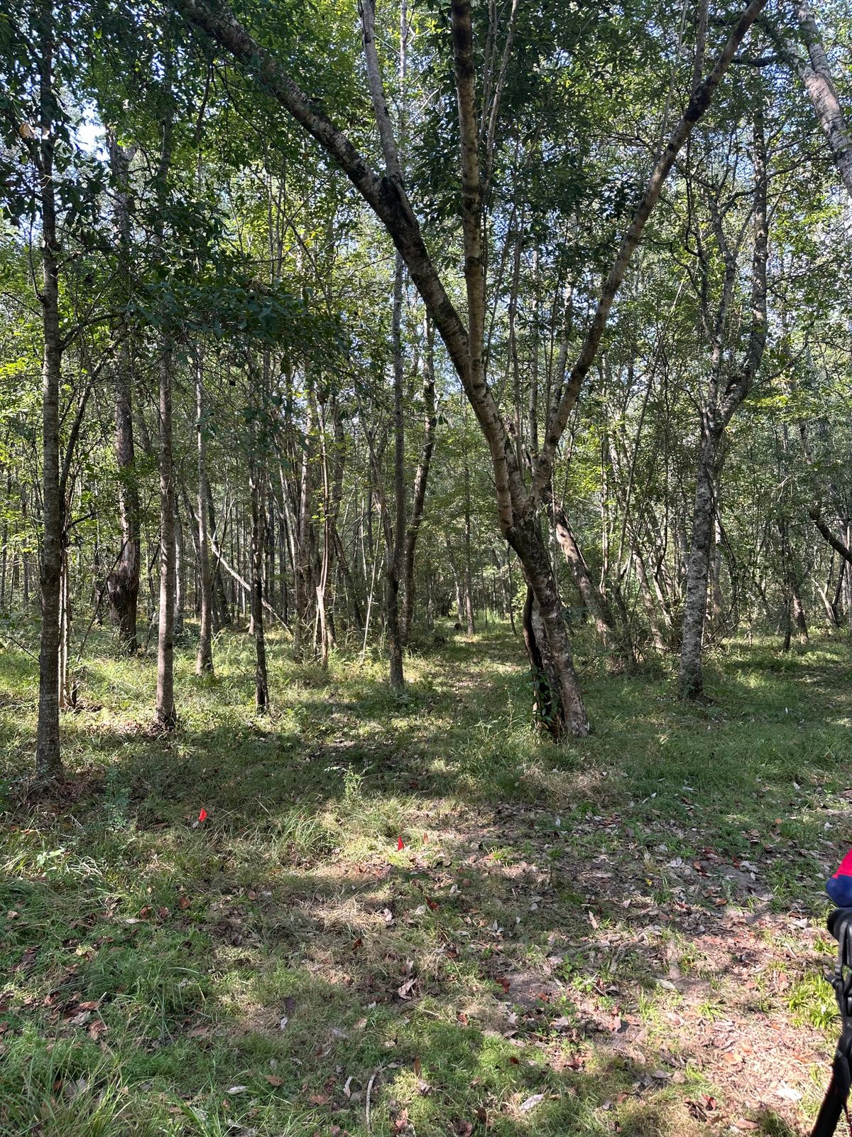 Hole 5/14