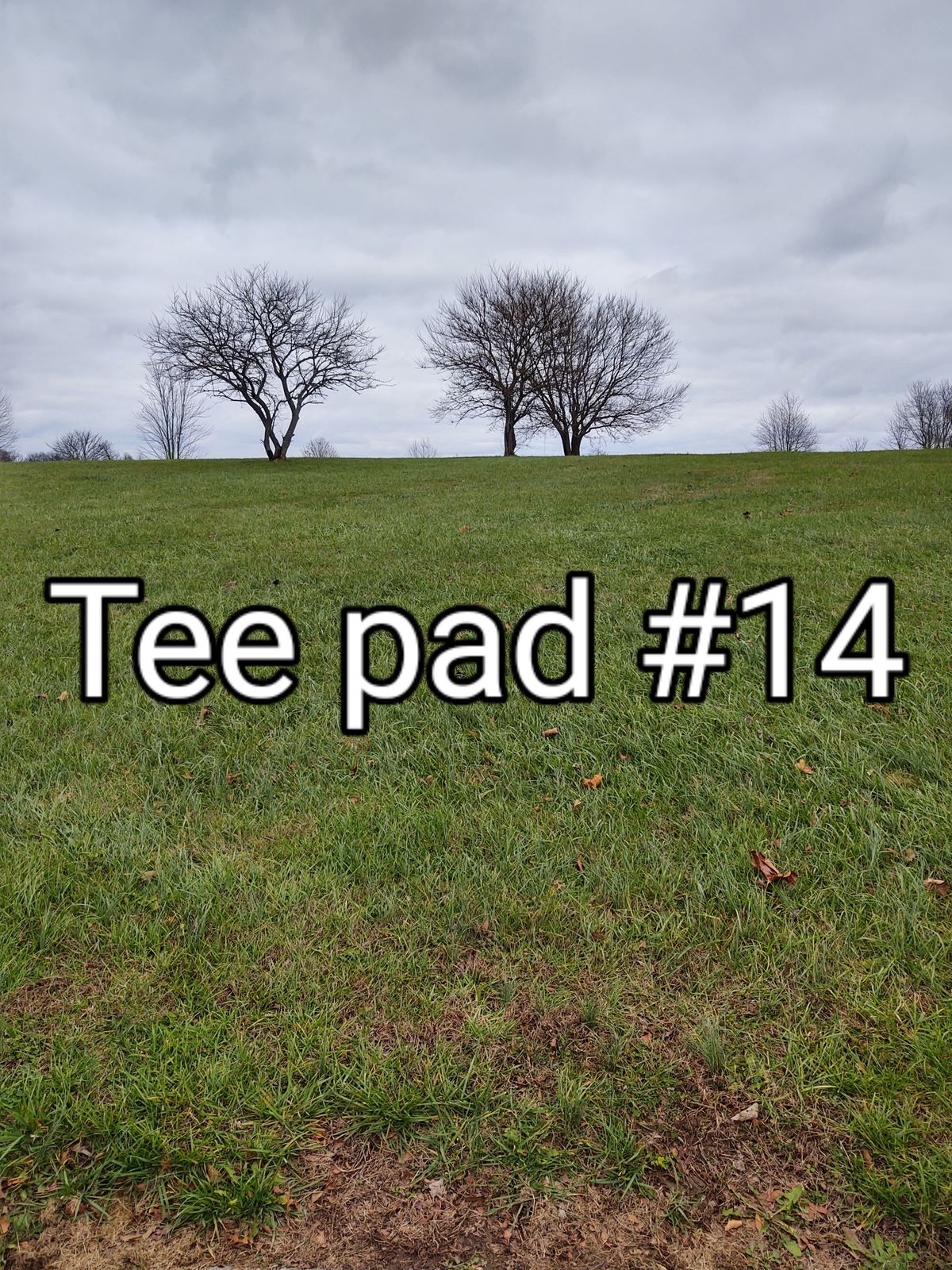 #14