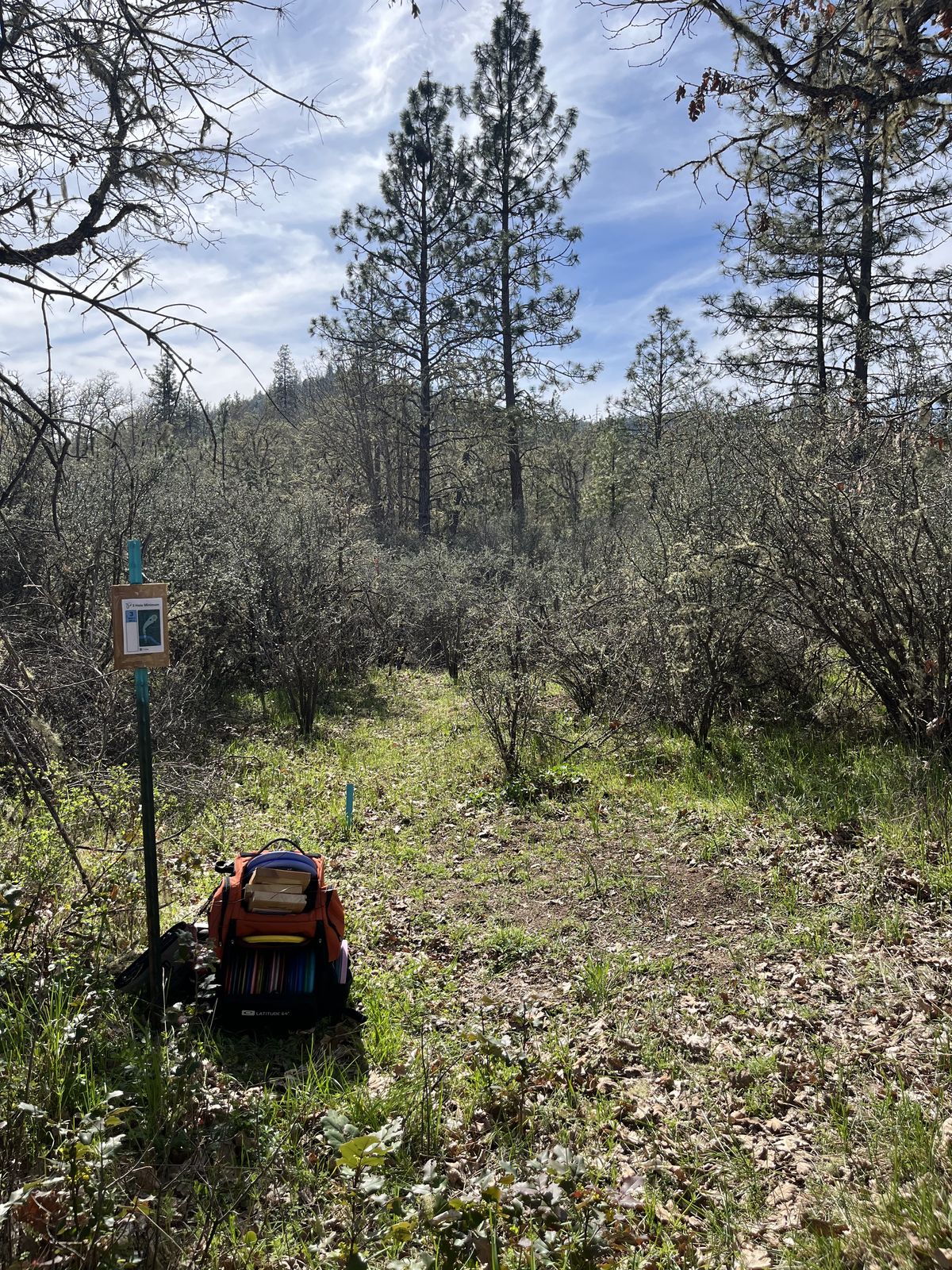 Tee Box 3 for "Buck 9"