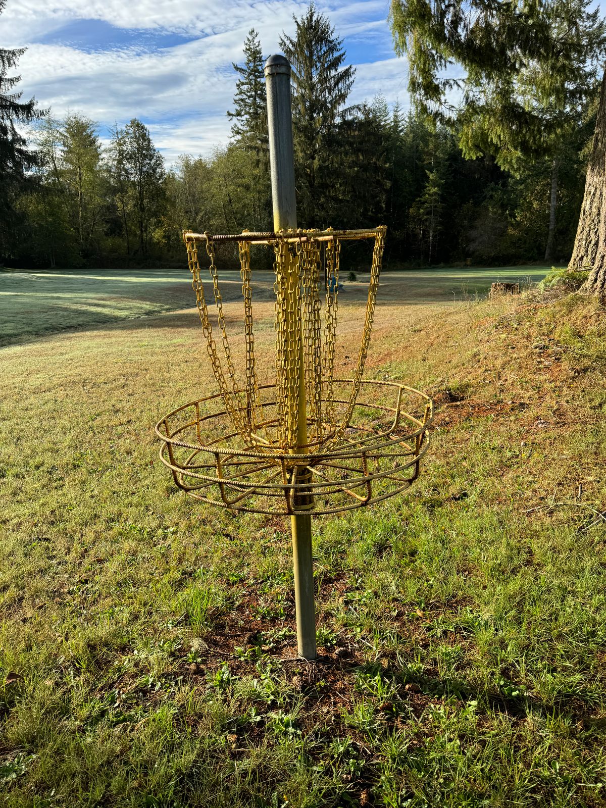 Basket - Hole 3