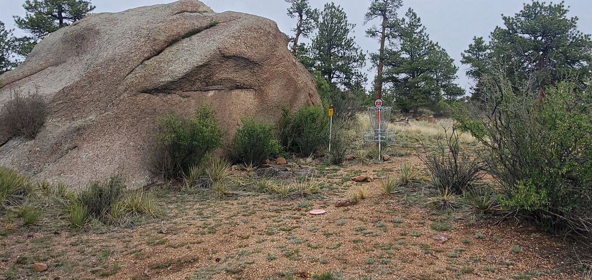 On the boarder of the National Forrest