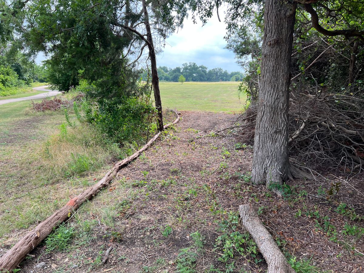 Hole 7 tee