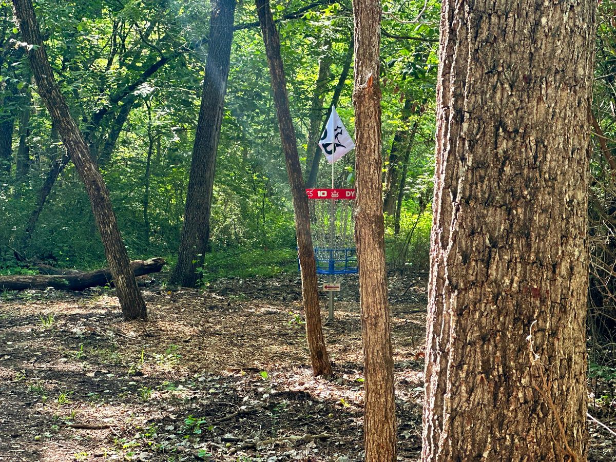 Hole 10: Log Jam green