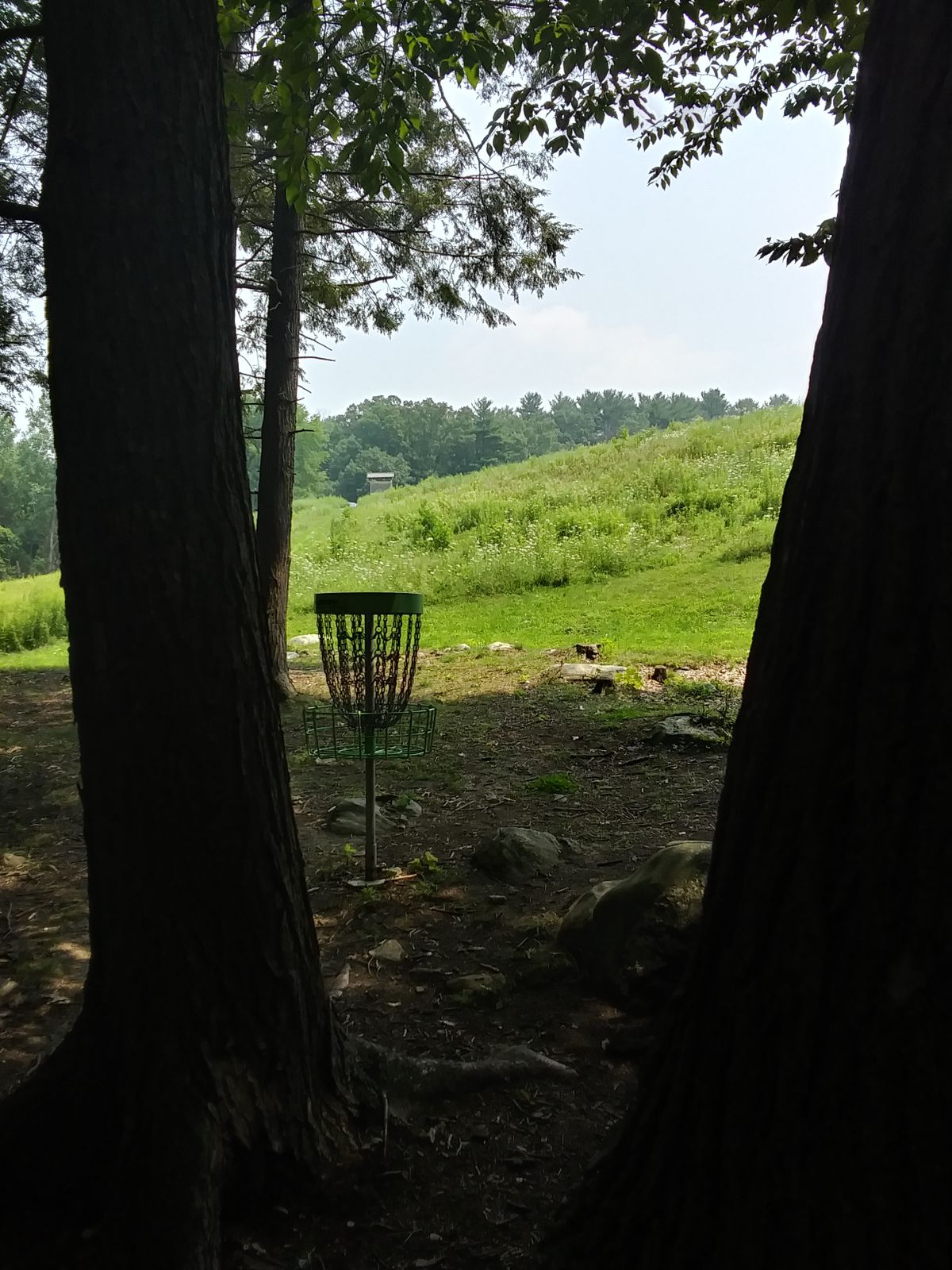 Hole 1 basket, looking back at tee.