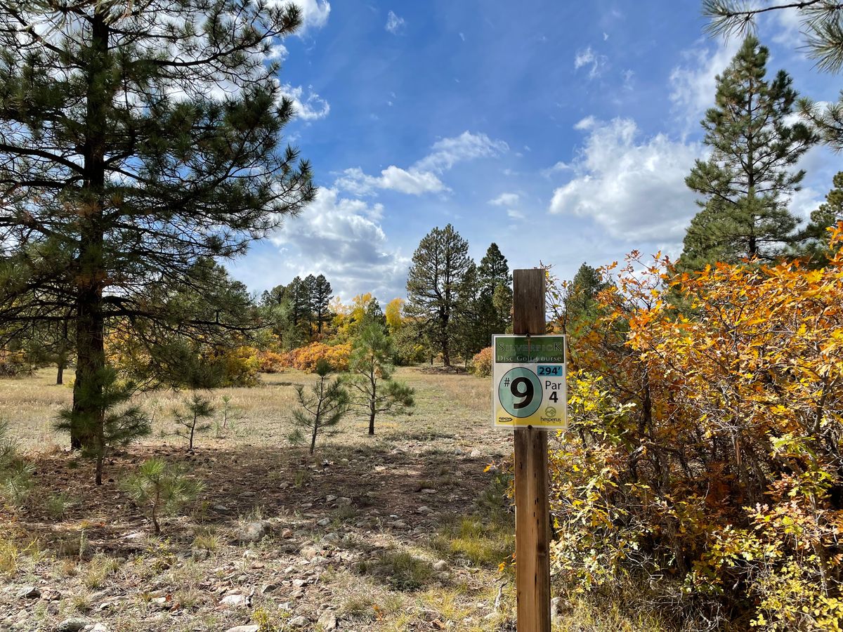 Hole 9 tee Silver Pick Disc Golf Course