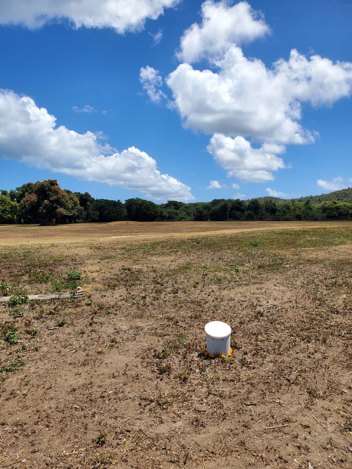 Hole 1 tee to basket
