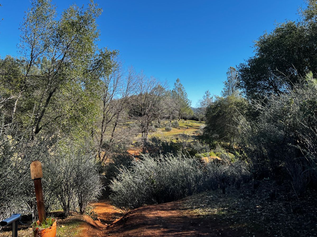 Hole 5