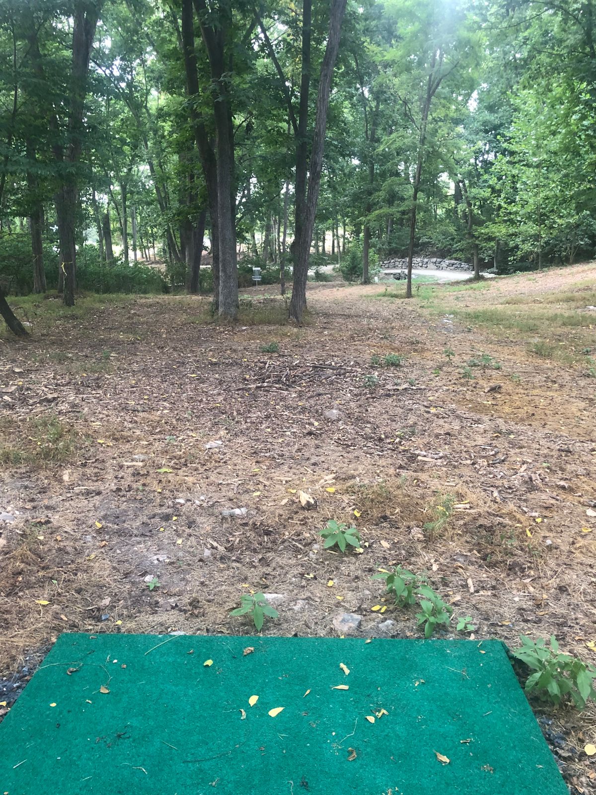 Hole 3