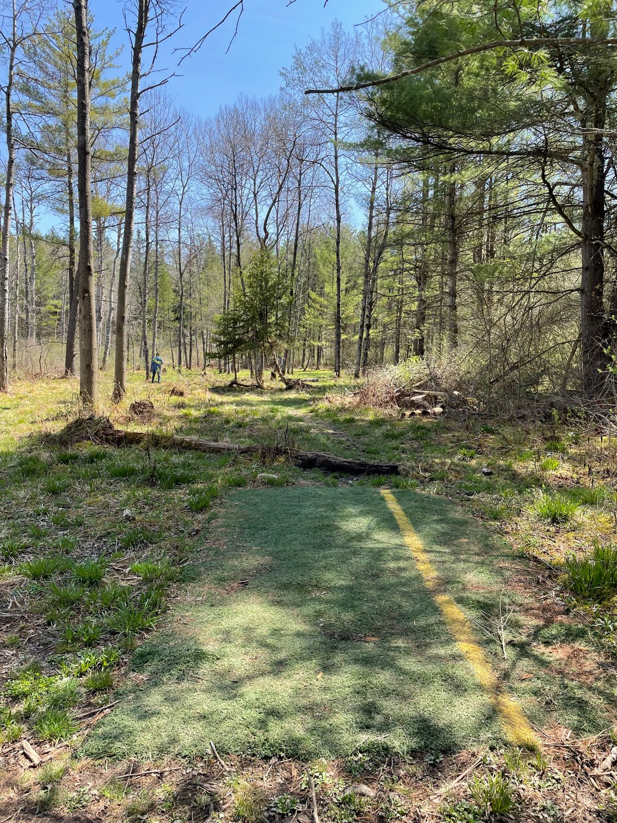 Hole 8, Orange (Short) tee.