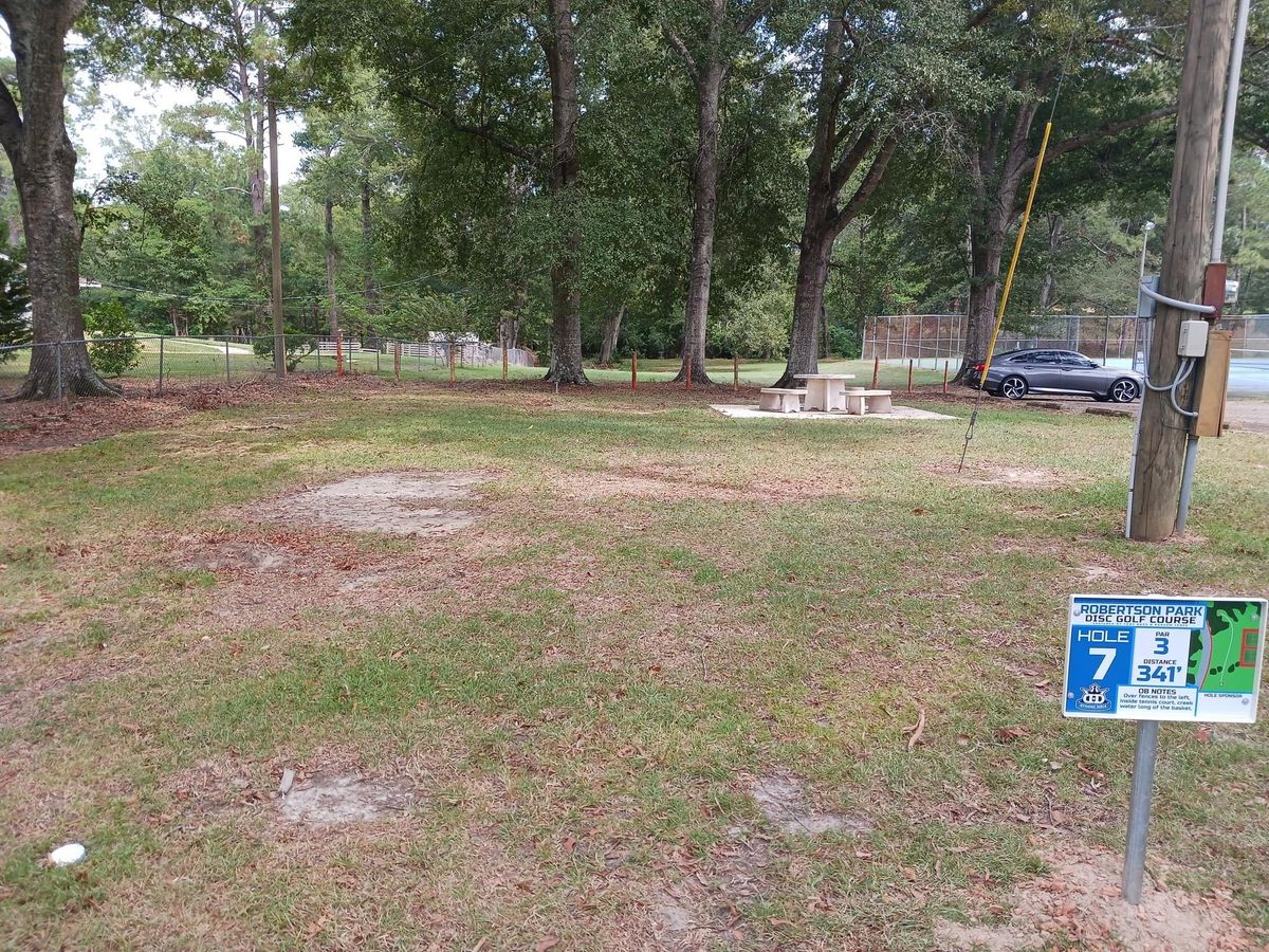 Hole 7