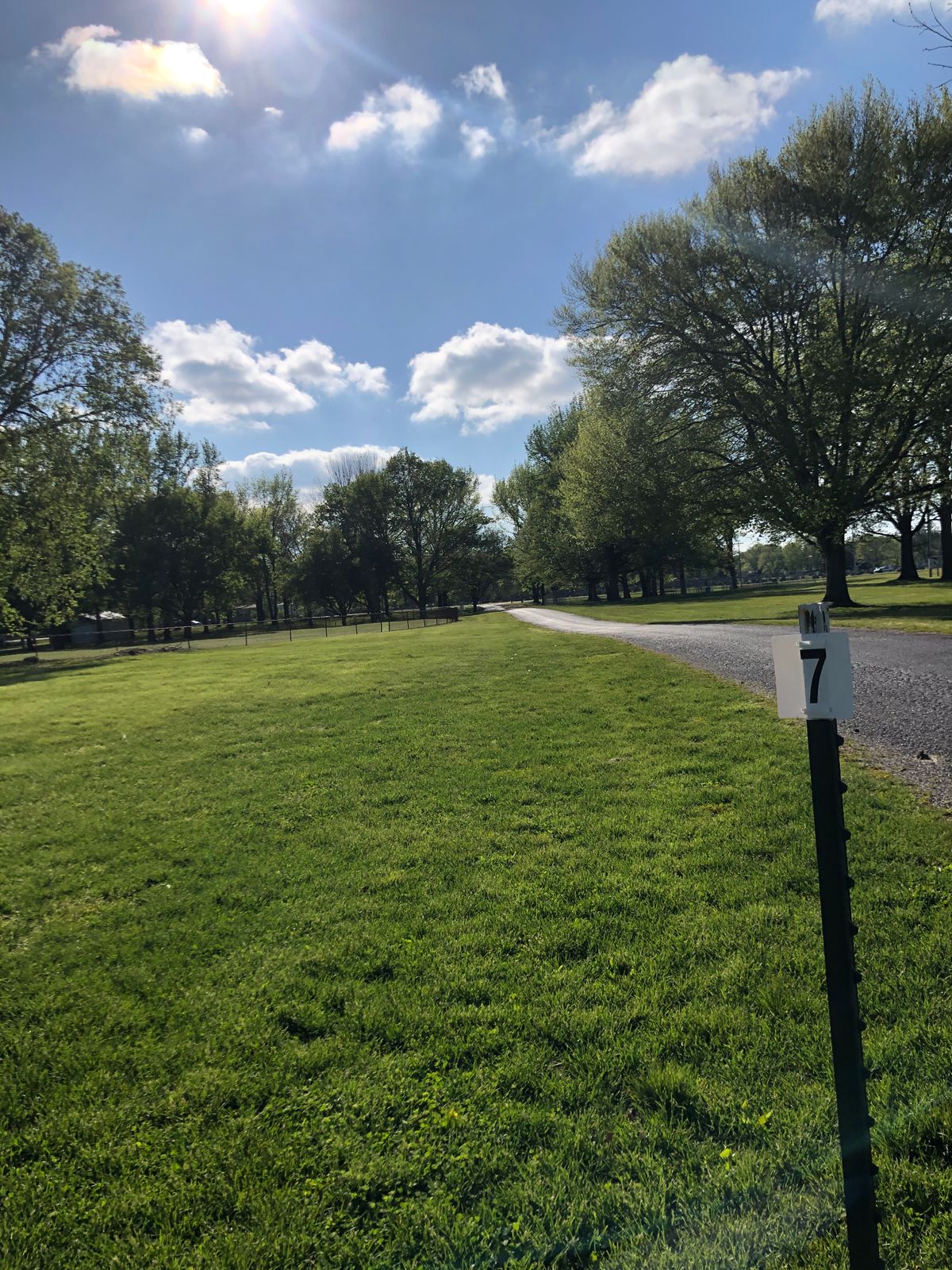 Hole 7 tee