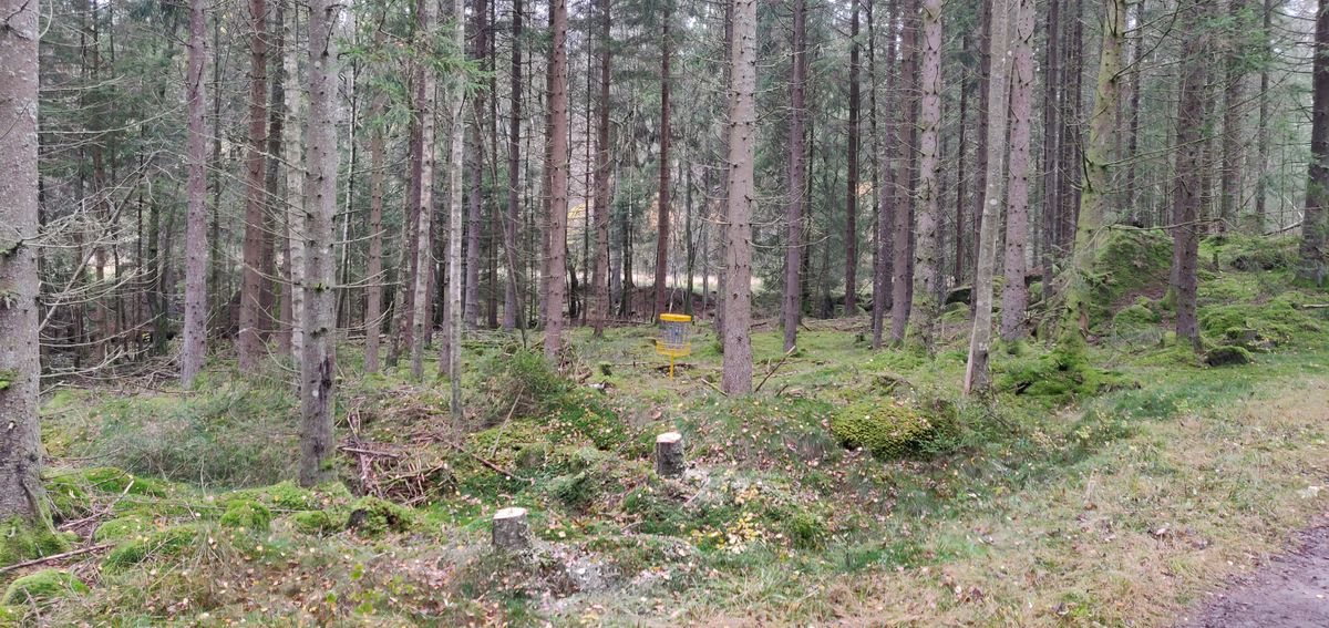 Green hål 4