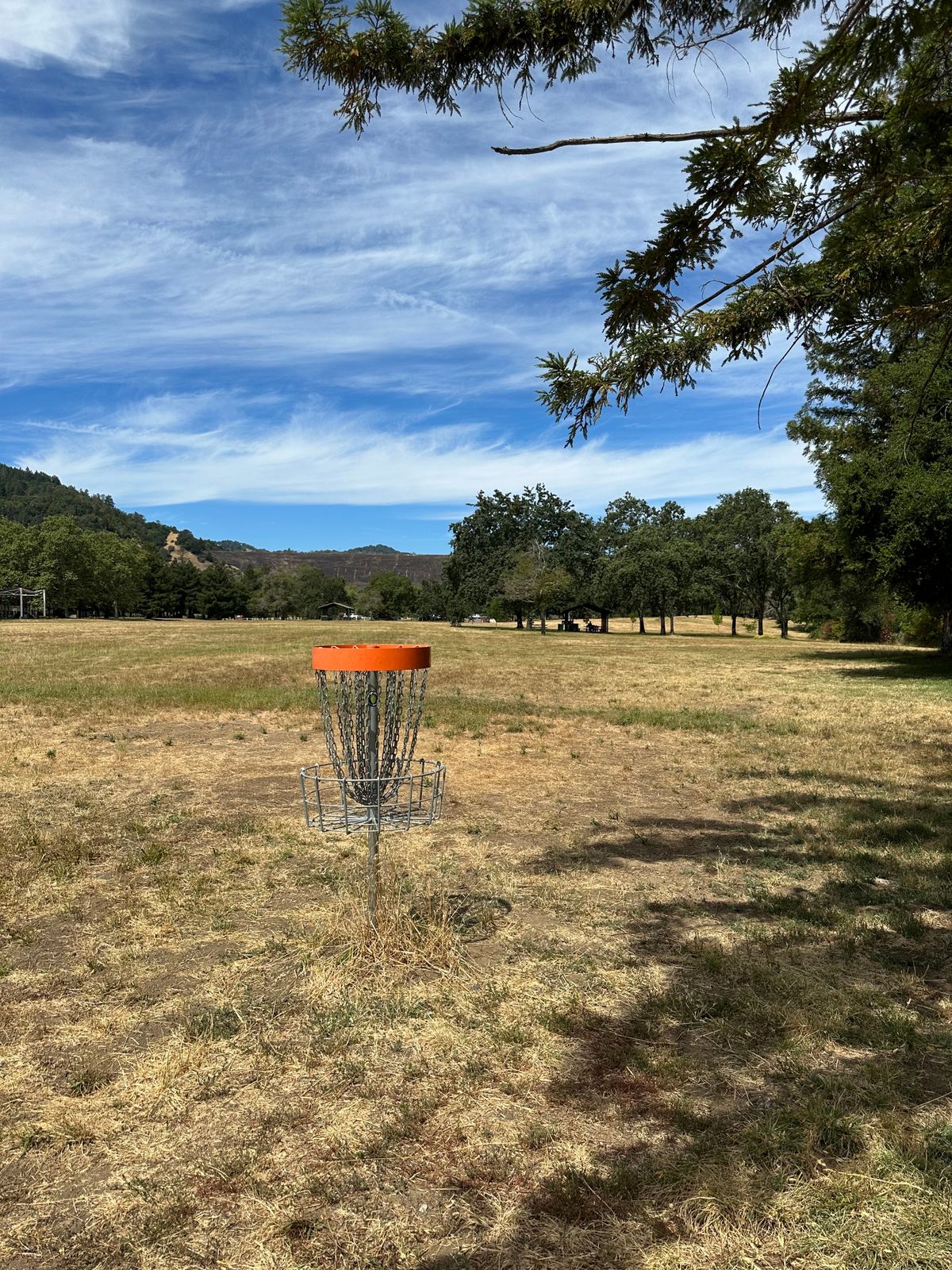 Hole 15 look back at it